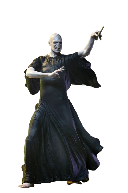 Lord Voldemort - Harry Potter Legacy Collection (17 cm