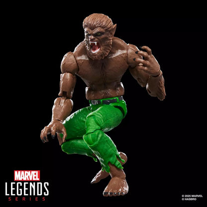 MARVEL - Werewolf by Night - Figurine Legends Series 15cm - Toys Legacy Collection