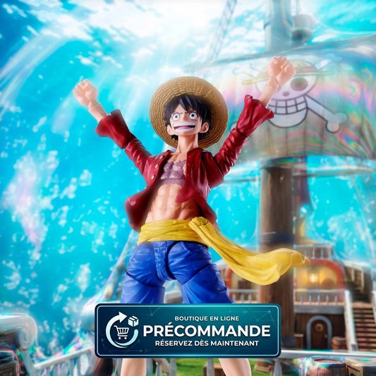 One Piece – Monkey D. Luffy Two Years Later – S.H.Figuarts