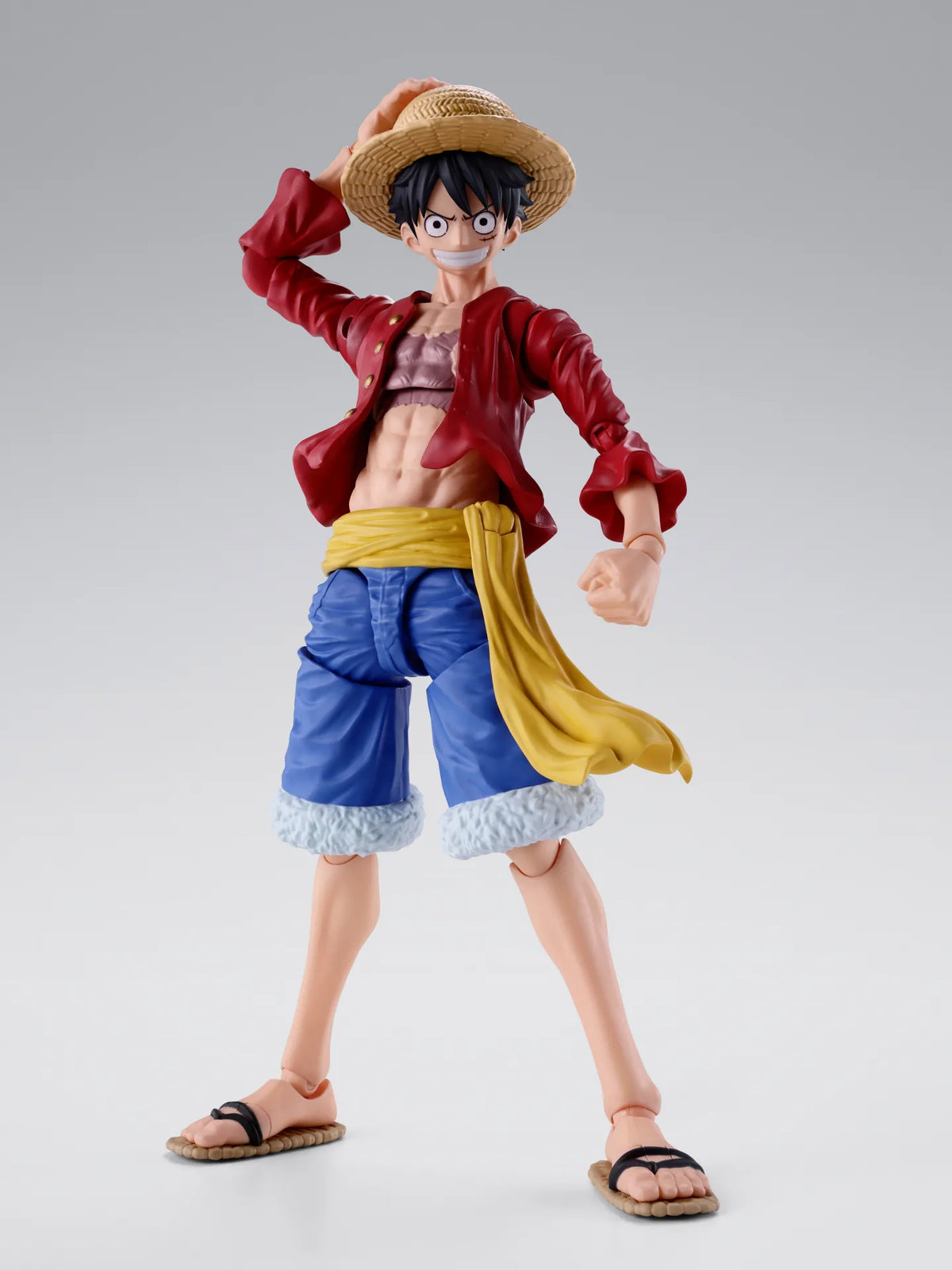 One Piece – Monkey D. Luffy Two Years Later – S.H.Figuarts