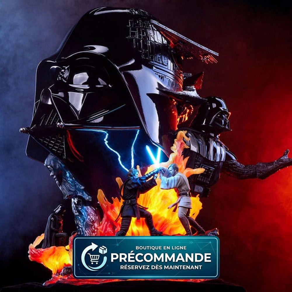 Star Wars buste Fine Art Darth Vader 56 cm