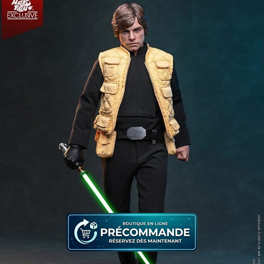 Star Wars Comic Masterpiece – Luke Skywalker – Shadows of the Empire – 28 cm