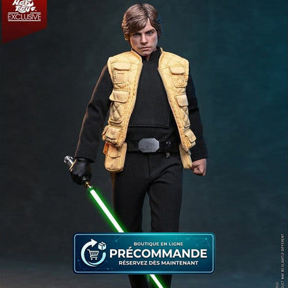Star Wars Comic Masterpiece – Luke Skywalker – Shadows of the Empire – 28 cm