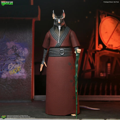 Teenage Mutant Ninja Turtles 2012 Cartoon Splinter