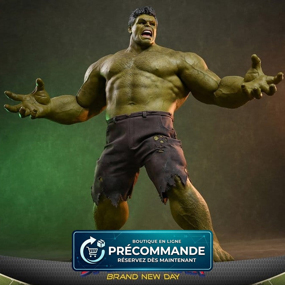 Marvel figurine 1/6 Hulk 51 cm