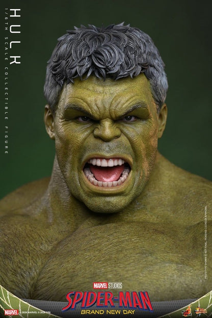 Figurine Marvel Hulk 1/6 de 51 cm de Hot Toys, depictant Bruce Banner en Hulk avec détails réalistes.