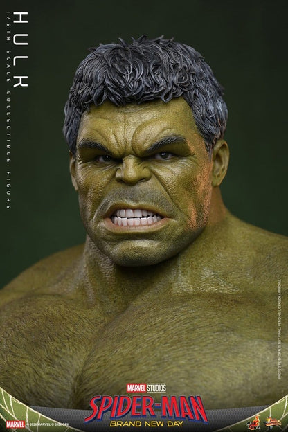 Figurine Marvel Hulk 1/6 de 51 cm de Hot Toys avec détails de Bruce Banner, statue de collection réaliste et expressive.