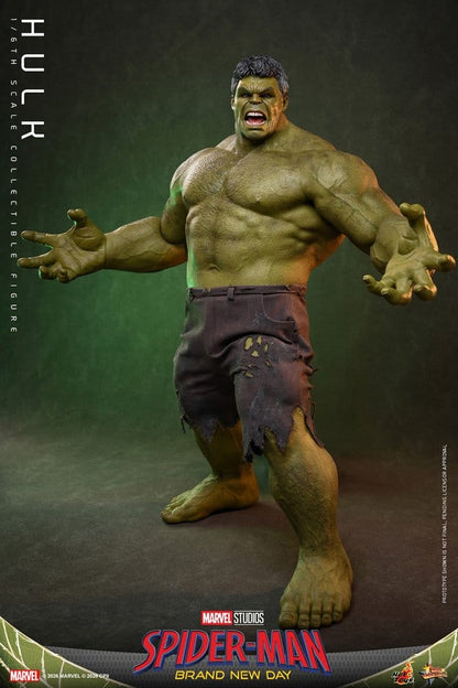 Figurine Marvel Hulk 1/6 de 51 cm de Hot Toys, représentant Bruce Banner avec détails réalistes et posture dynamique.