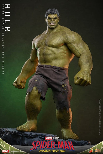 Figurine Marvel Hulk 1/6 de 51 cm de Hot Toys, représentant Bruce Banner en version Hulk avec détails réalistes et posture dynamique.