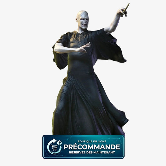 Lord Voldemort - Harry Potter Legacy Collection (17 cm
